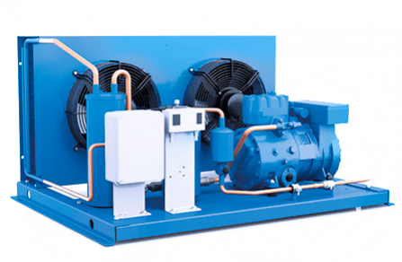 FRASCOLD LB2-D211-0Y-2M
